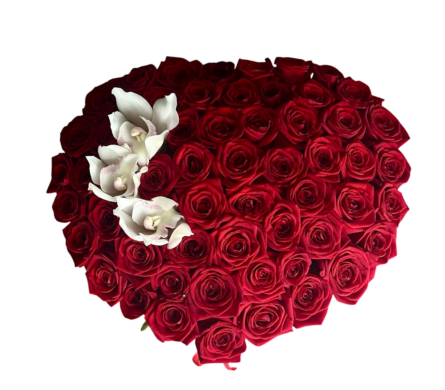 Roses in a Box with Cymbidium Accent