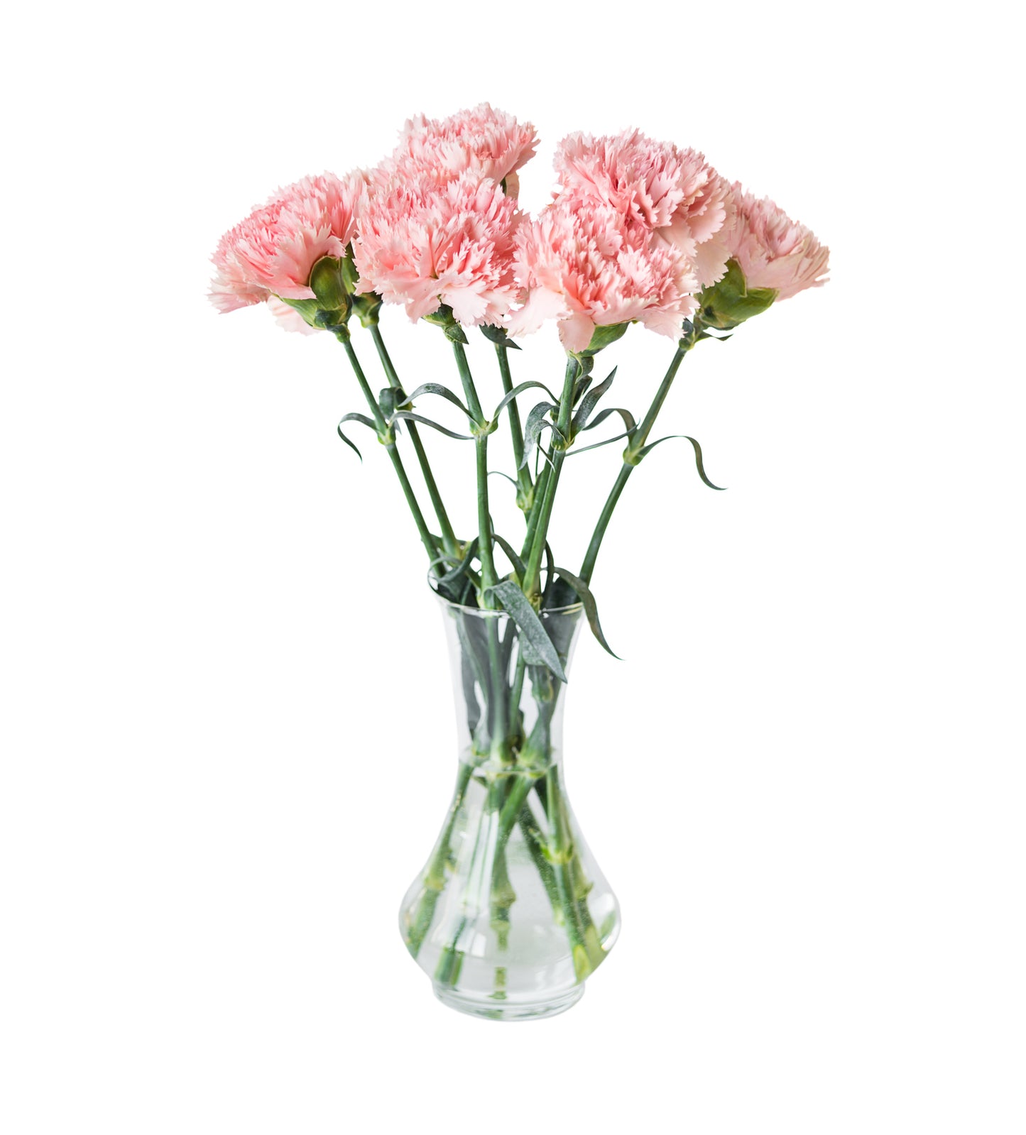 Pink Carnation Bouquet