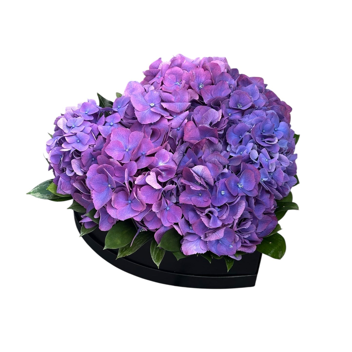 Classic Hydrangea with Ruscus Box