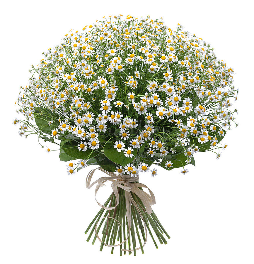 Daisy Camille Flowers Bouquet