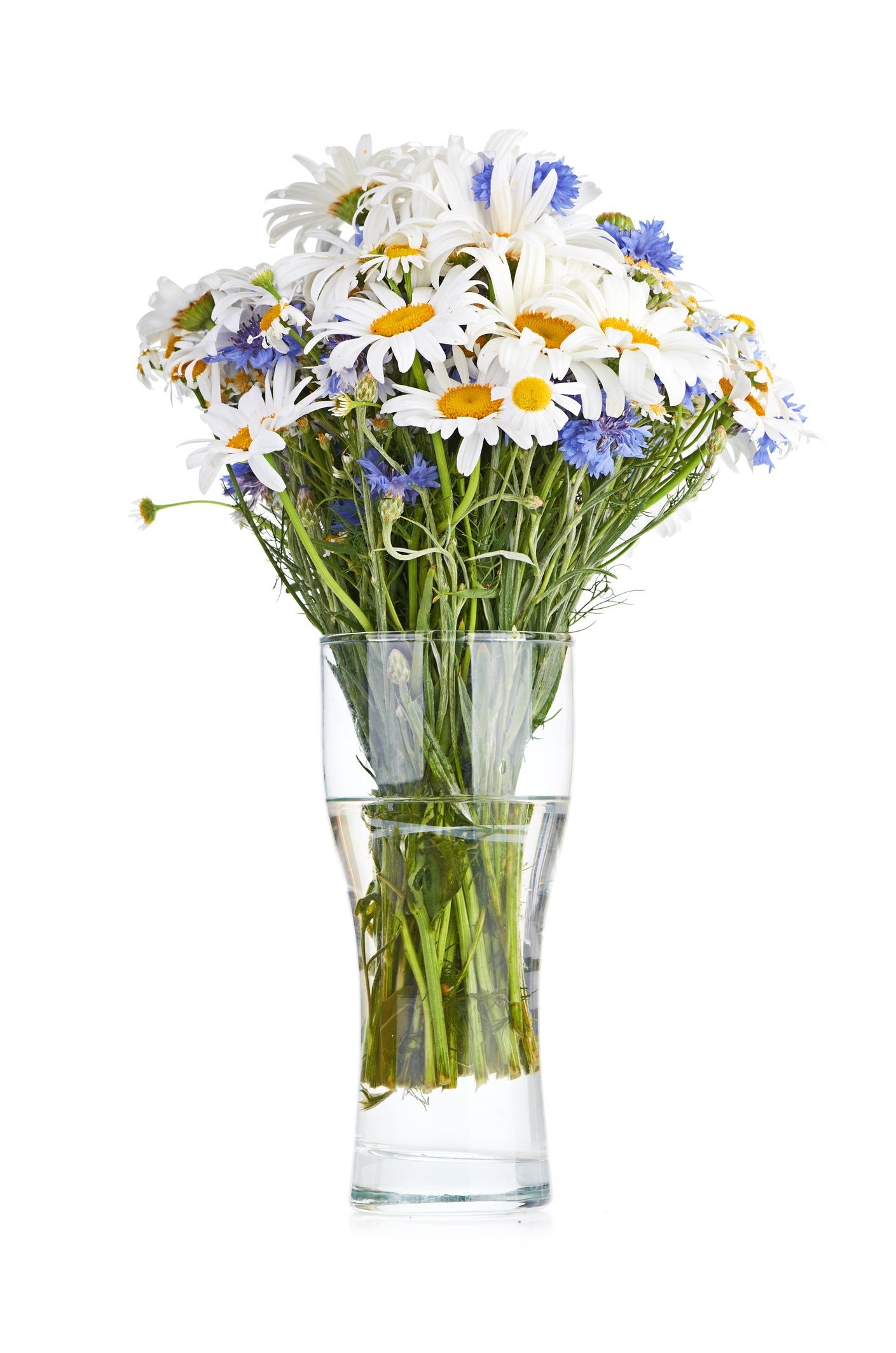 Daisy & Cornflowers Bouquet in Vase