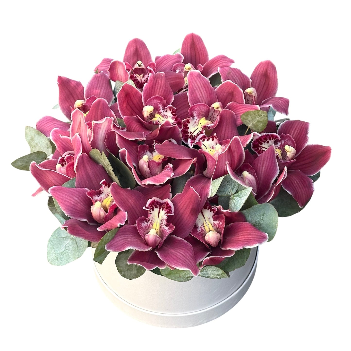 Cymbidium Orchids with Eucalyptus Flower Box