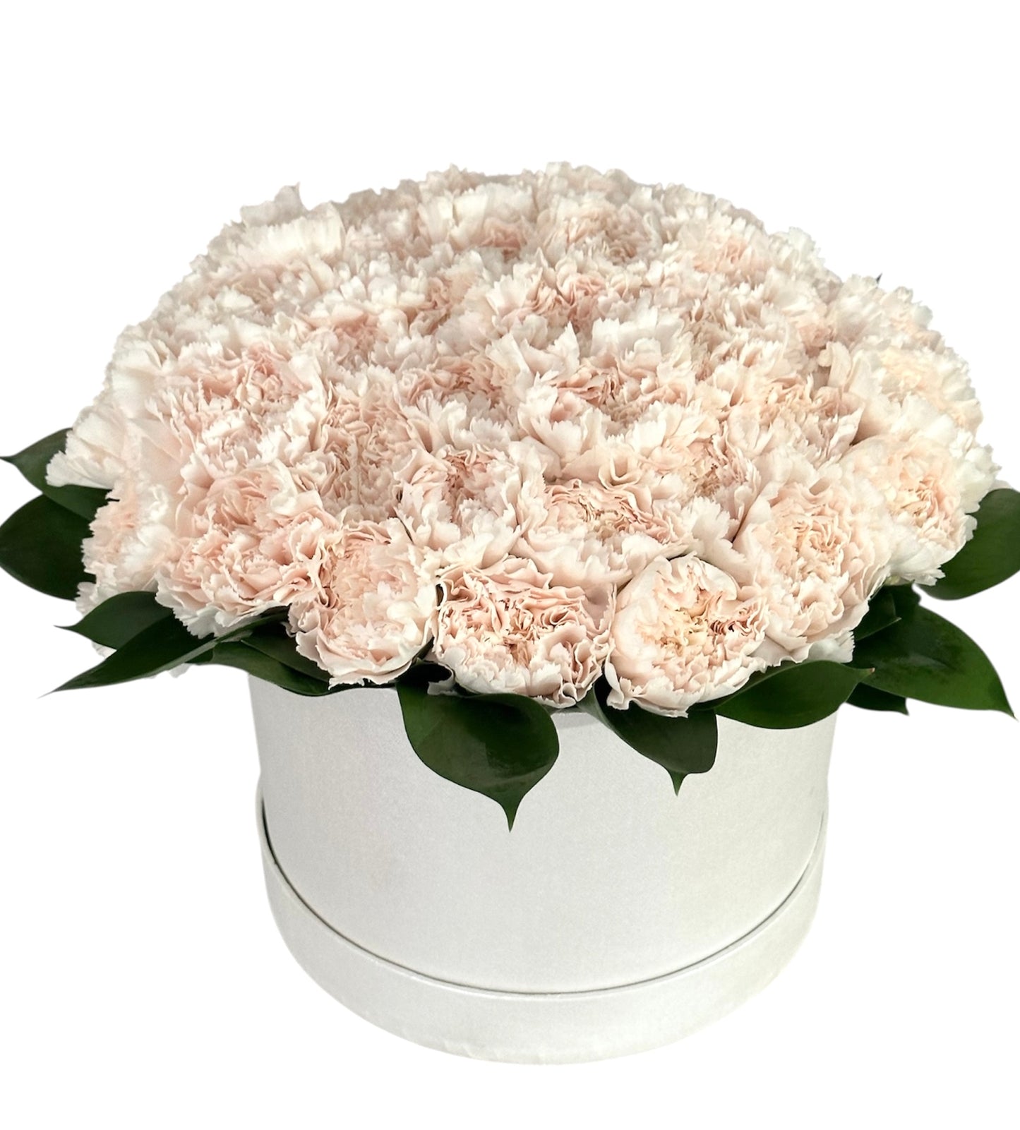 Classic Carnation with Greenery in Box