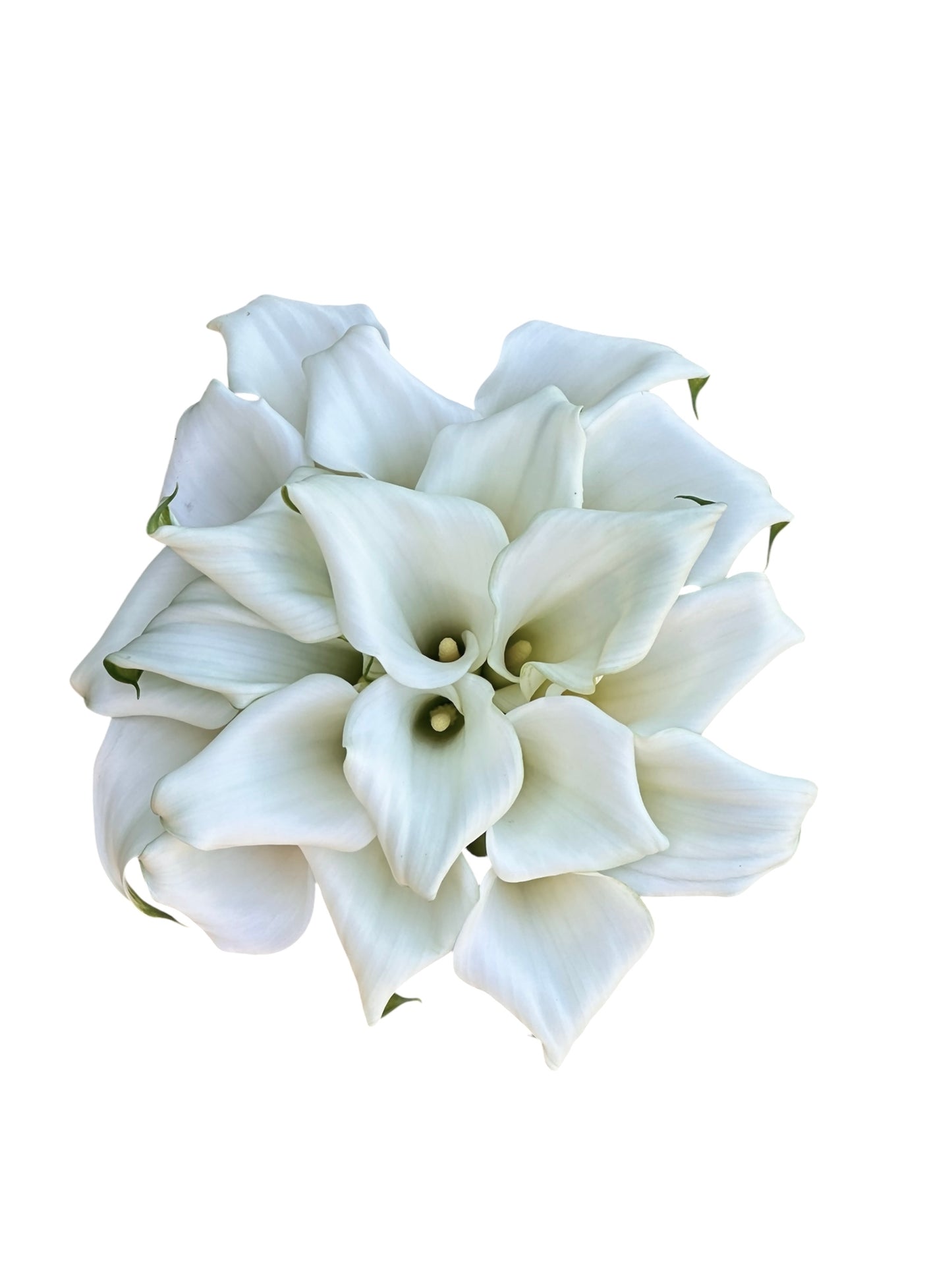 Classic Calla Lily Bridal Wedding Bouquet