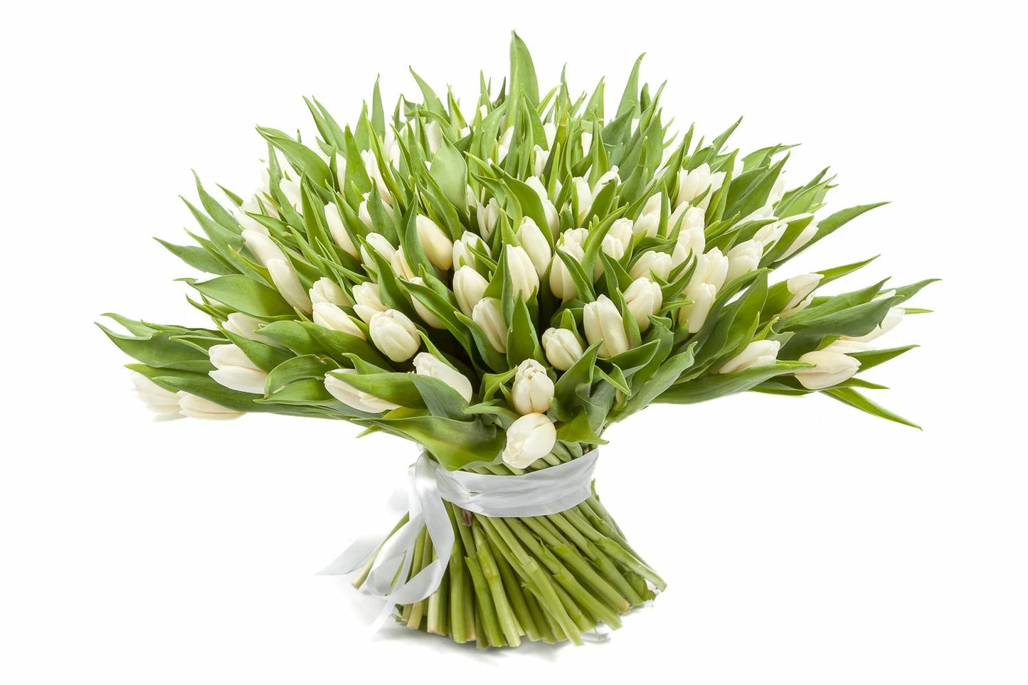 White Tulips Bouquet