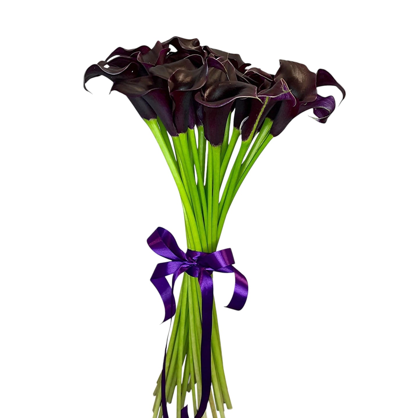 Black Calla Lily Bouquet