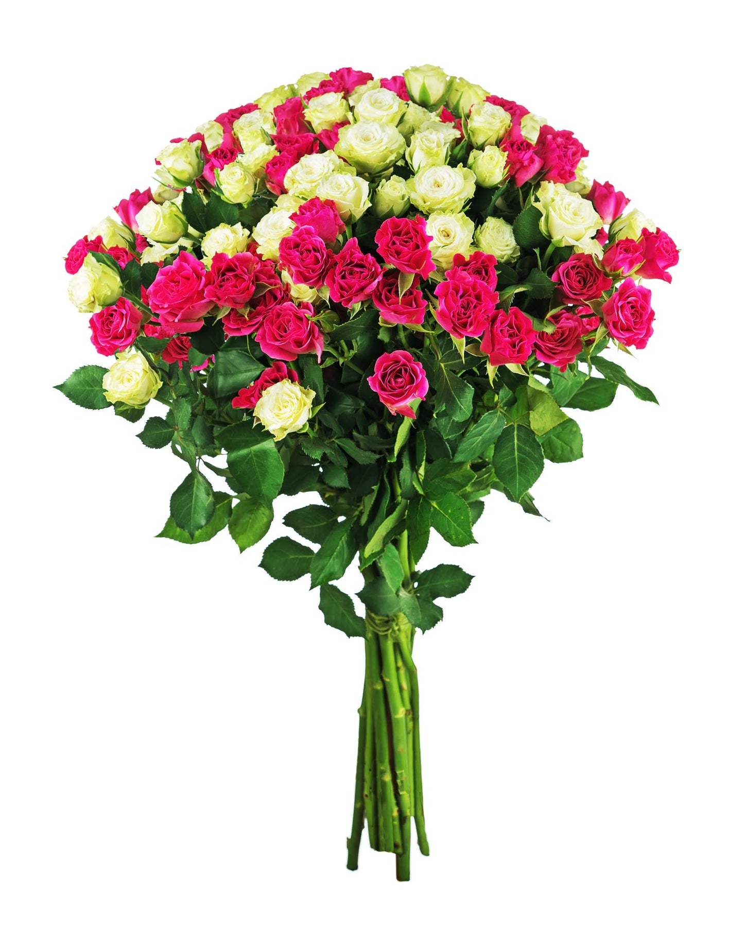 Cerise & White Spray Roses Bouquet - Fresh Bouquet Co.