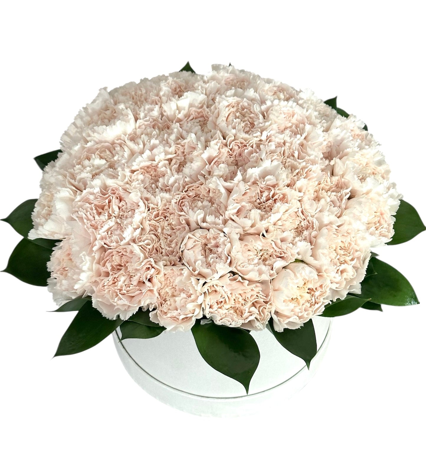 Classic Carnation with Greenery in Box - Fresh Bouquet Co.