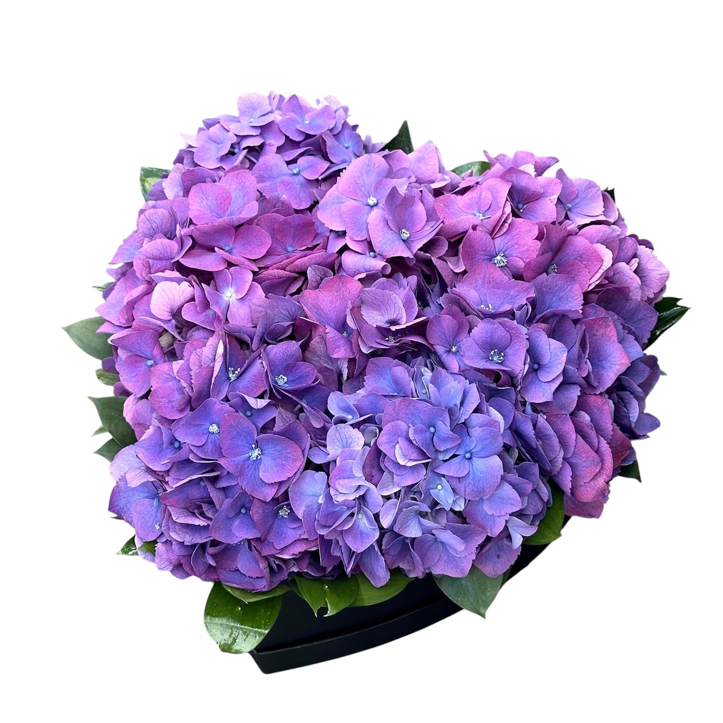 Classic Hydrangea with Ruscus Box - Fresh Bouquet Co.