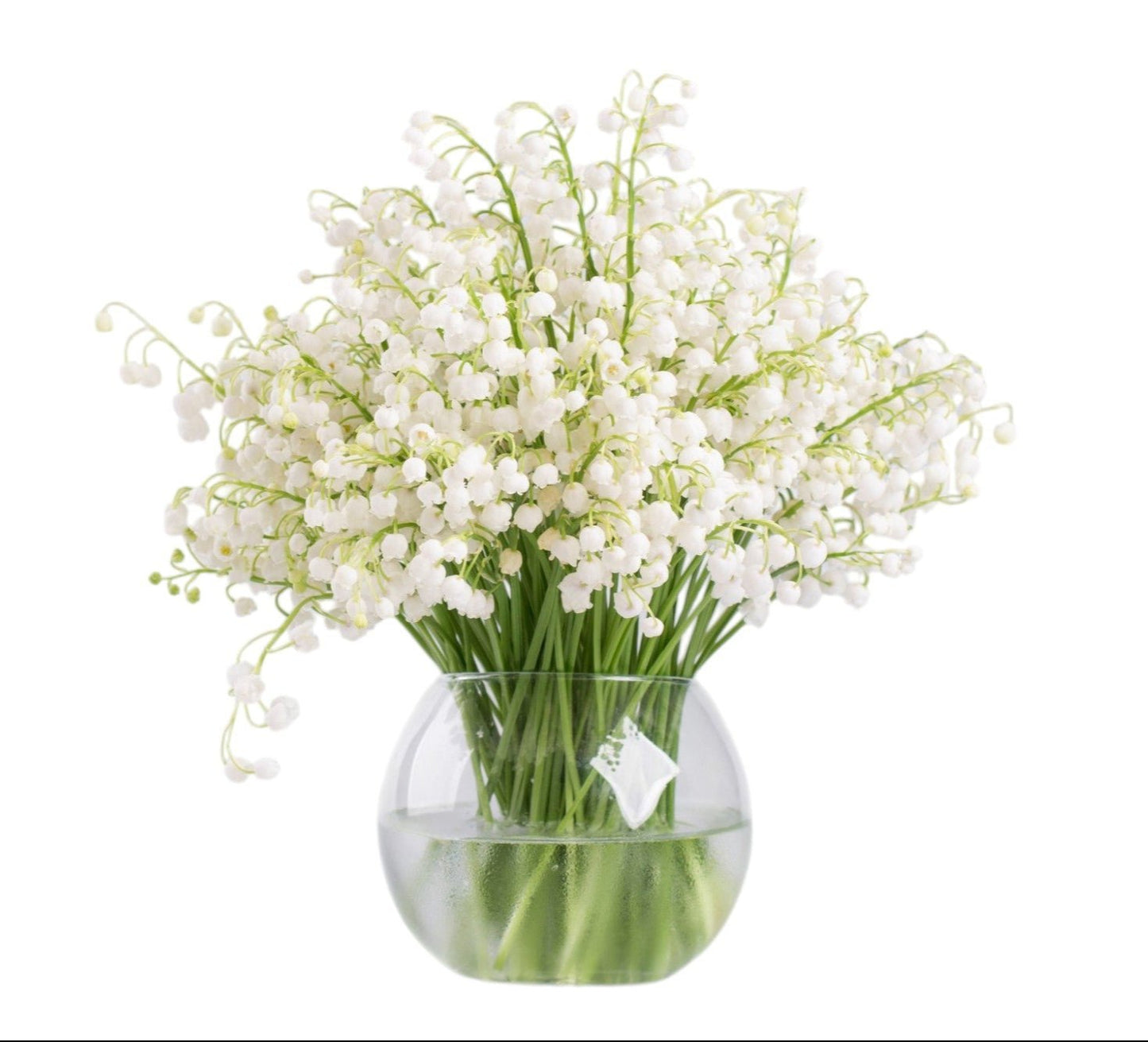 Classic Lily of the Valley Bouquet in Vase - Fresh Bouquet Co.