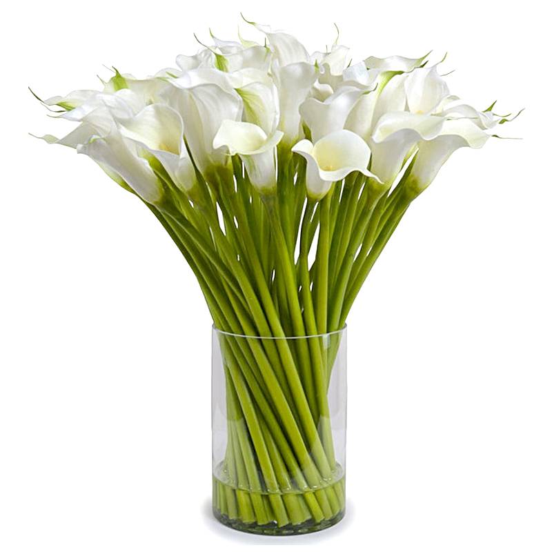 Classic White Calla Lily Bouquet in Vase