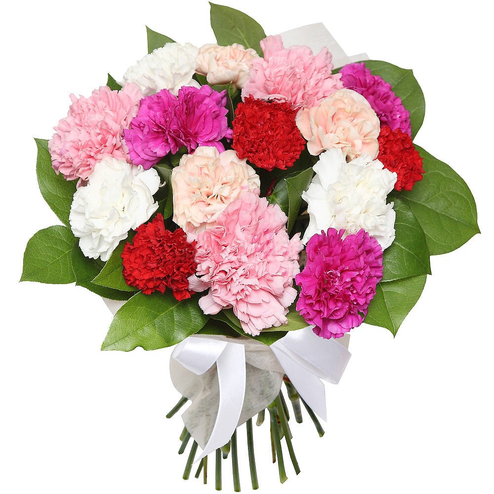 Colourful Carnation Bouquet - Fresh Bouquet Co.