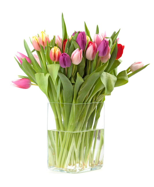 Colourful Tulips Bouquet in Vase - Fresh Bouquet Co.