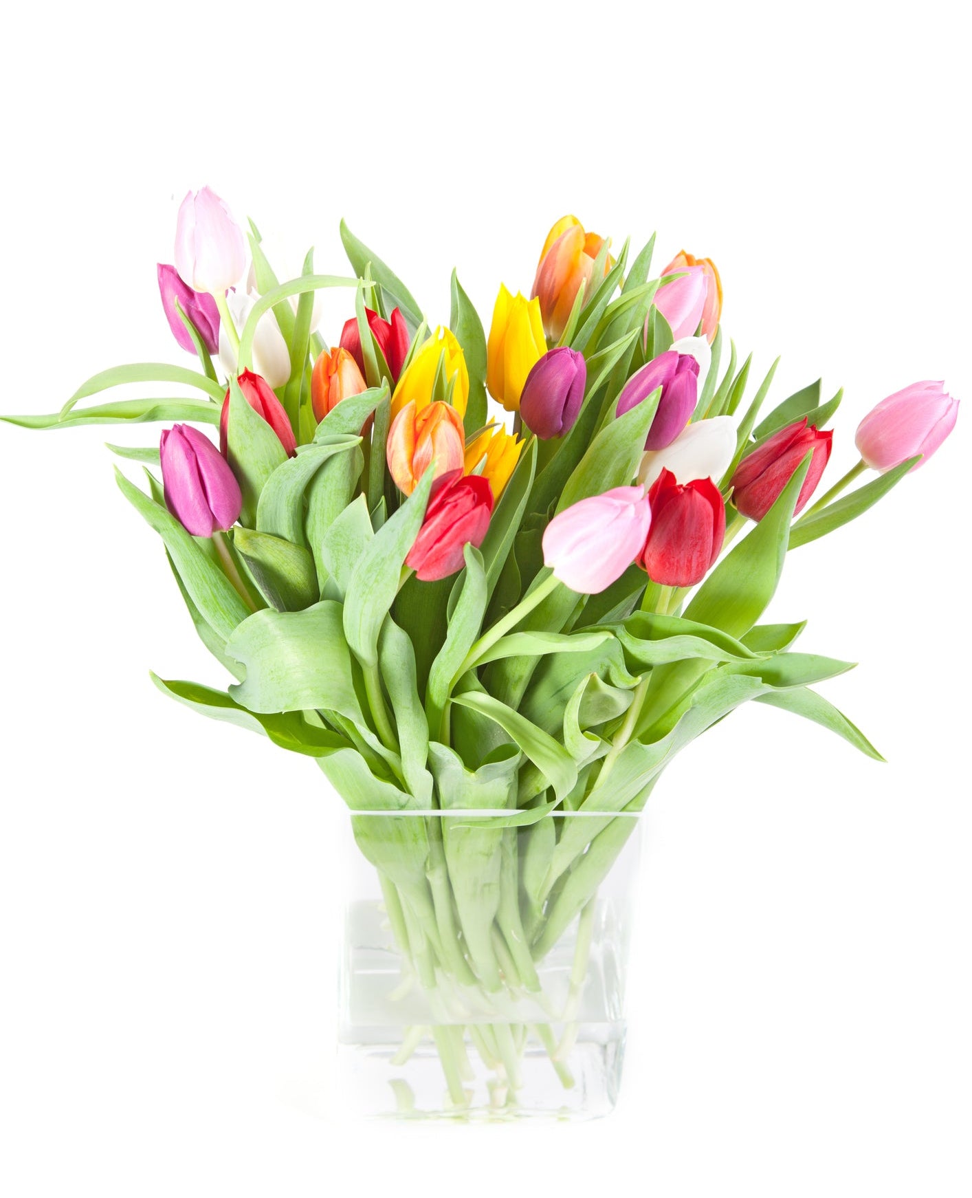 Colourful Tulips Bouquet in Vase