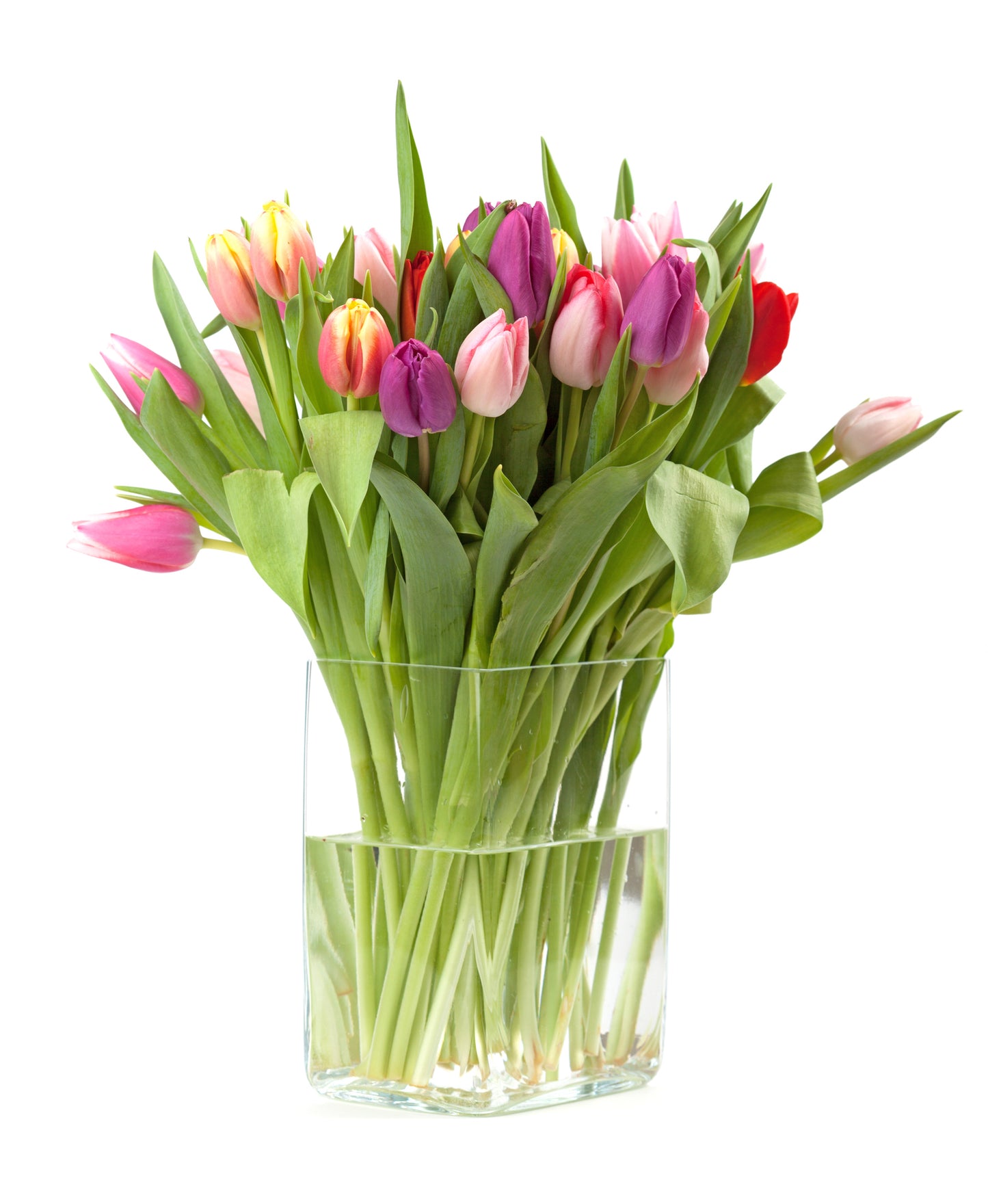 Colourful Tulips Bouquet in Vase
