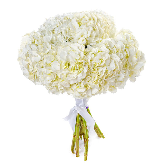 Cream Hydrangea Bouquet - Fresh Bouquet Co.