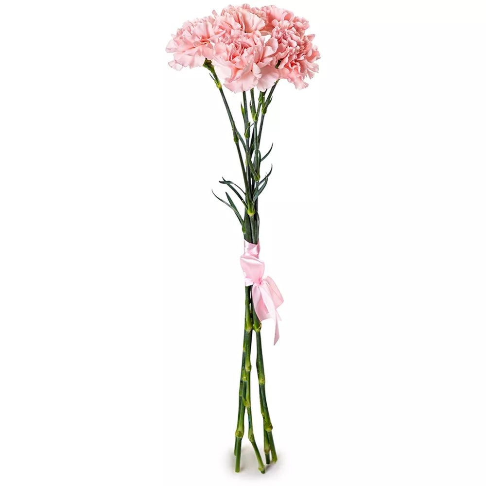 Pink Carnation Bouquet