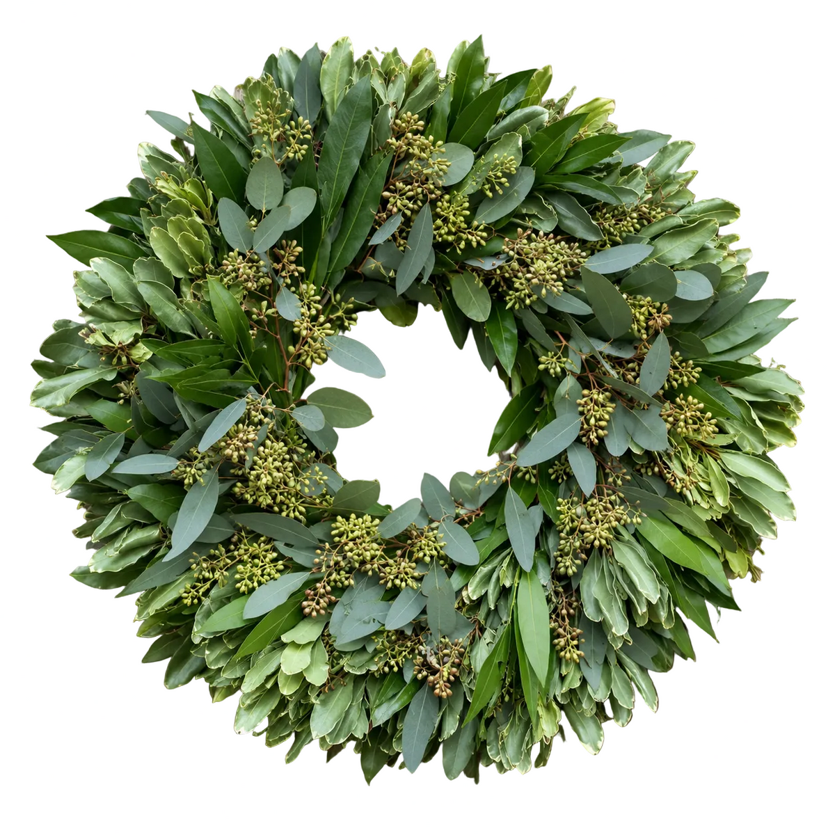 Eucalyptus & Ilan Greenery Wreath