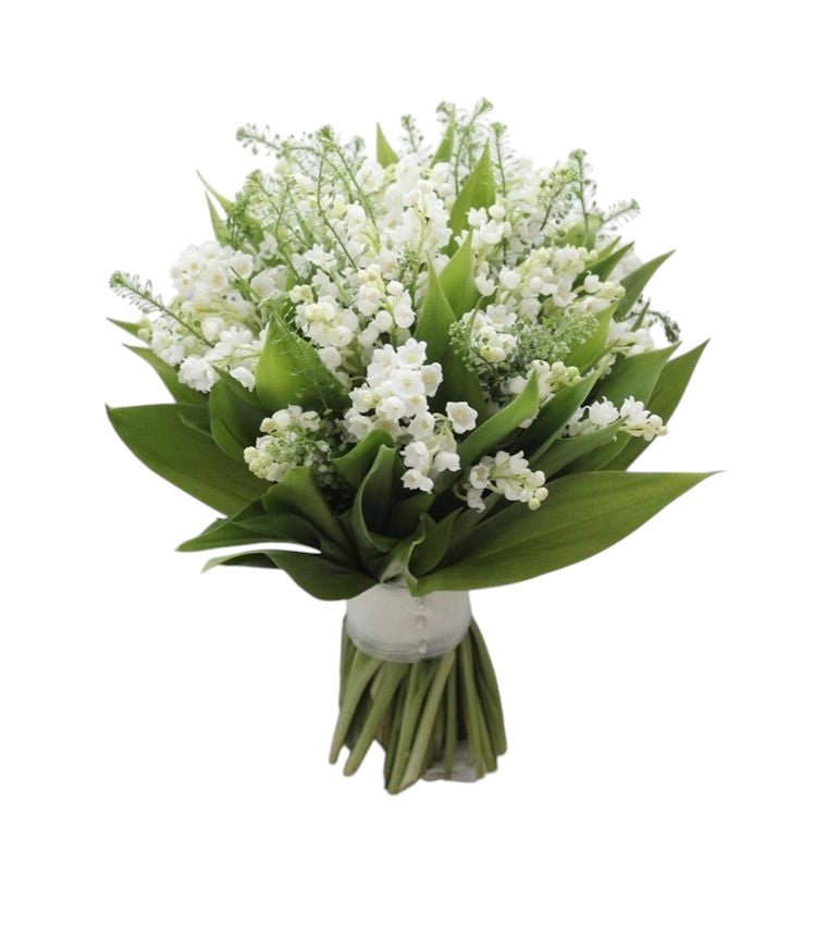Lily of the Valley & Green Bell Bouquet - Fresh Bouquet Co.