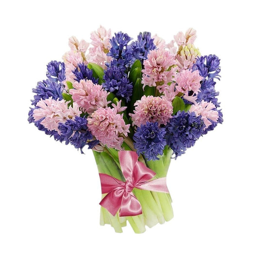 Pink and Blue Hyacinth Bouquet - Fresh Bouquet Co.