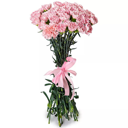 Pink Carnation Bouquet - Fresh Bouquet Co.