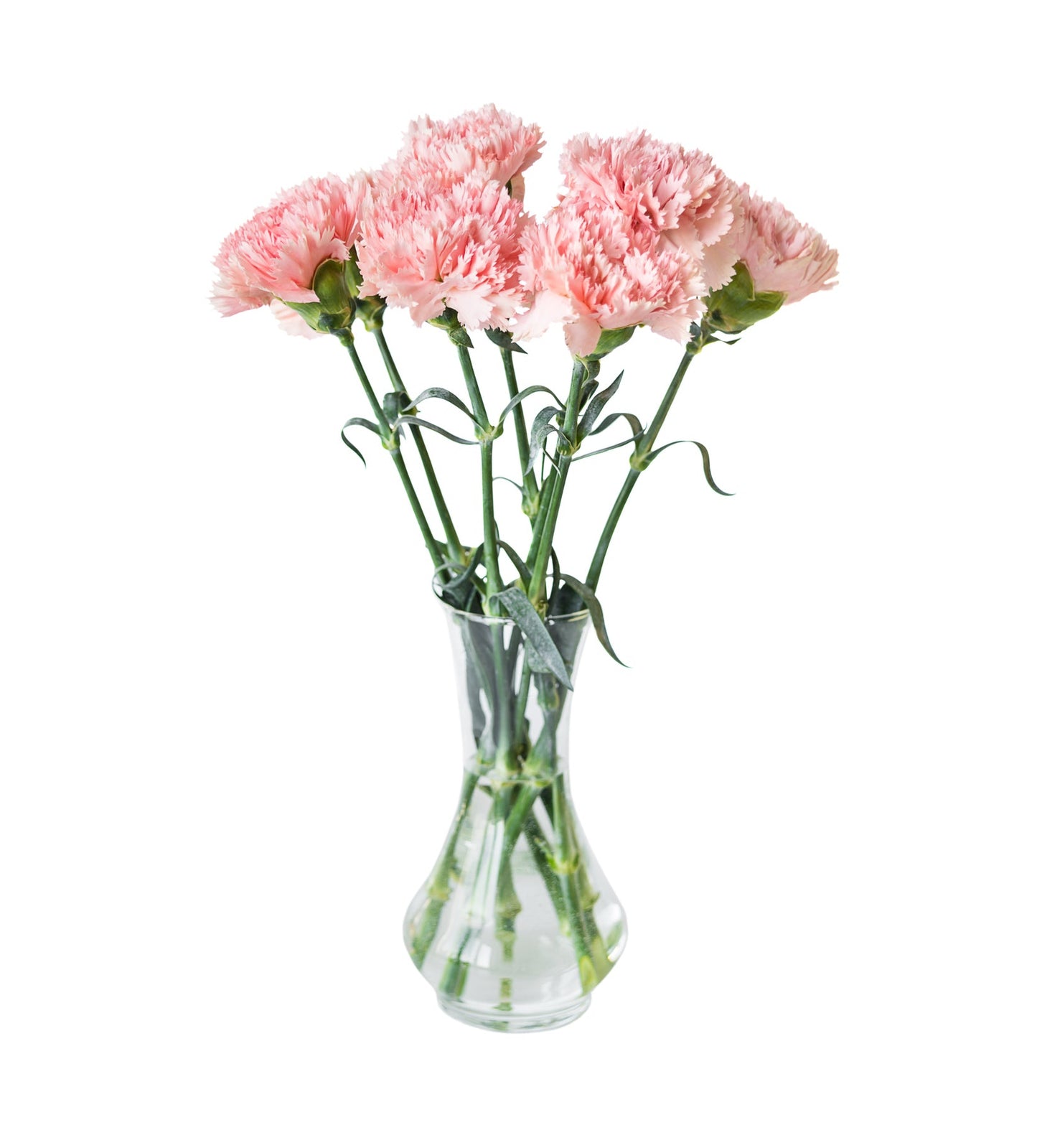 Pink Carnation Bouquet - Fresh Bouquet Co.