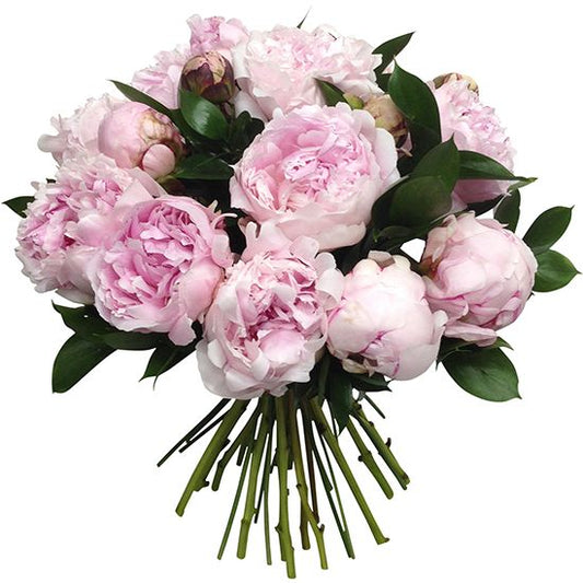 Pink Peonies & Ruscus Bouquet in Vase - Fresh Bouquet Co.