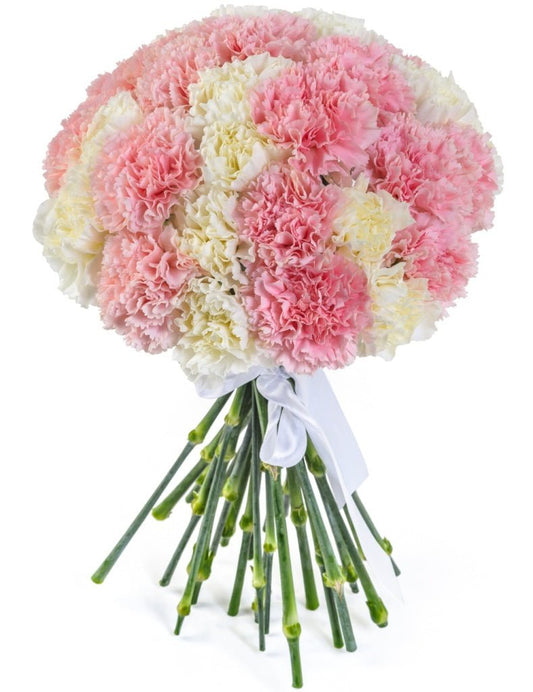 Pink & White Carnation Bouquet - Fresh Bouquet Co.