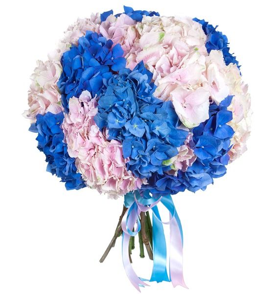 Pink & Blue Hydrangea Bouquet