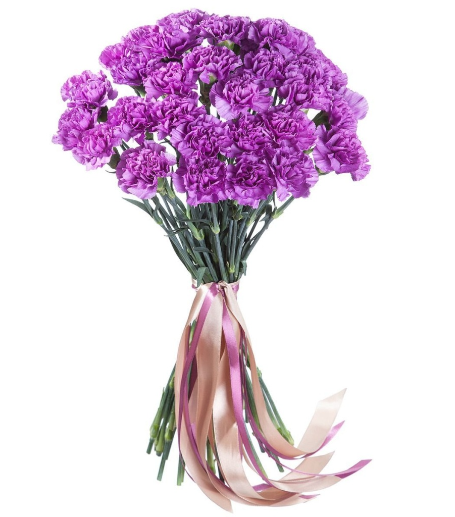 Purple Carnation Bouquet