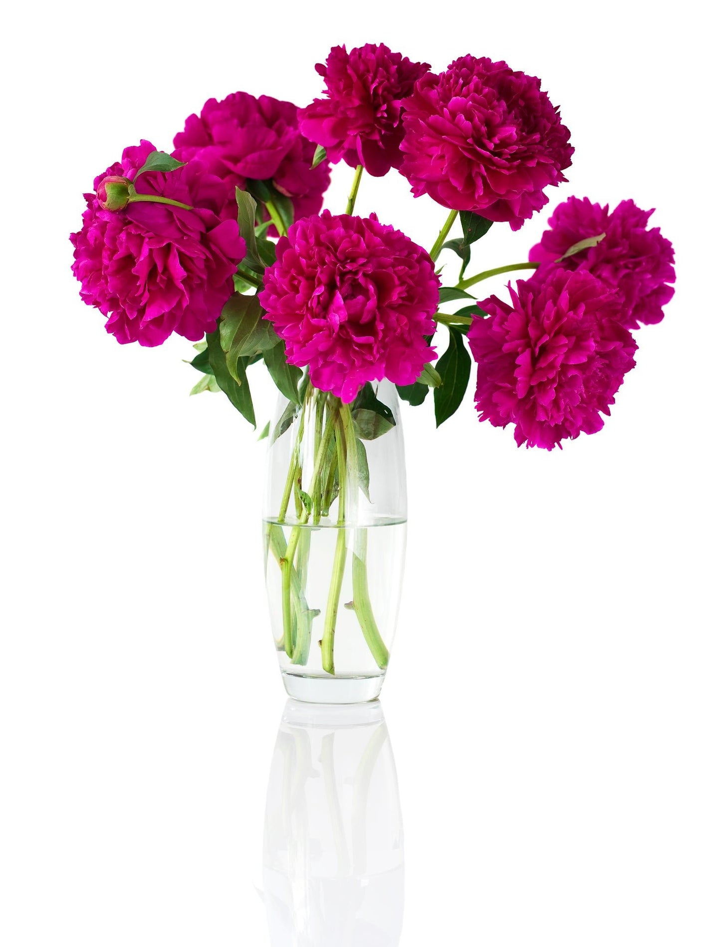 Red Peonies Bouquet in Vase - Fresh Bouquet Co.