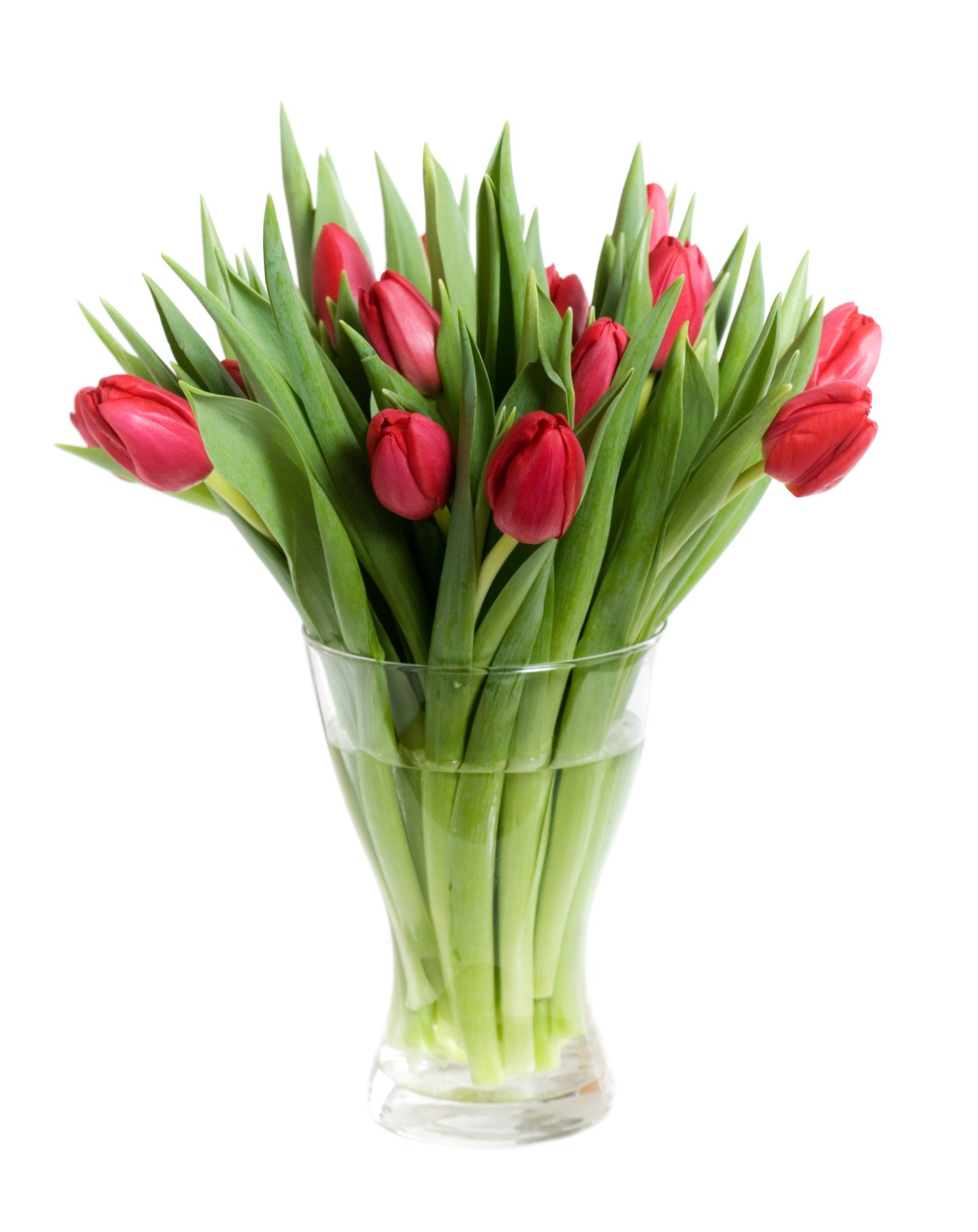 Red Tulips Bouquet in Vase