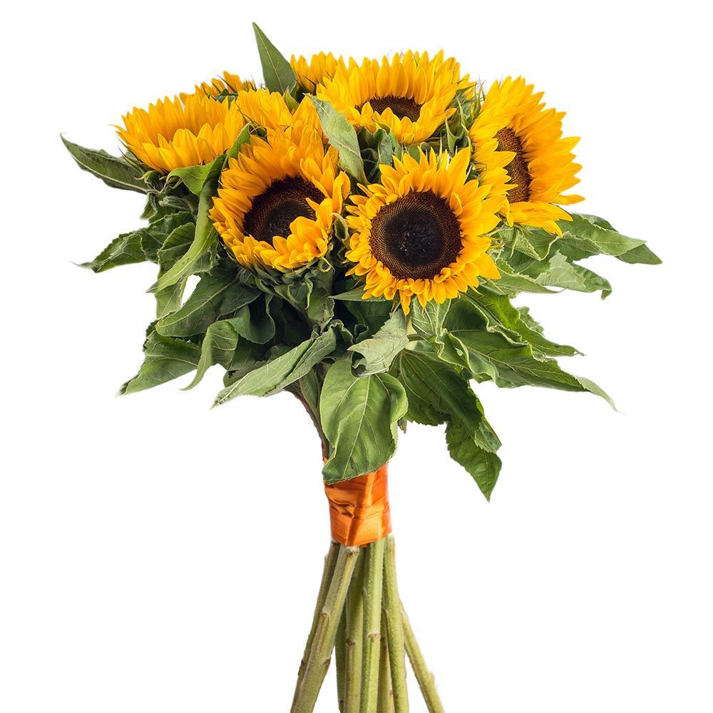Sunflower Bouquet - Fresh Bouquet Co.