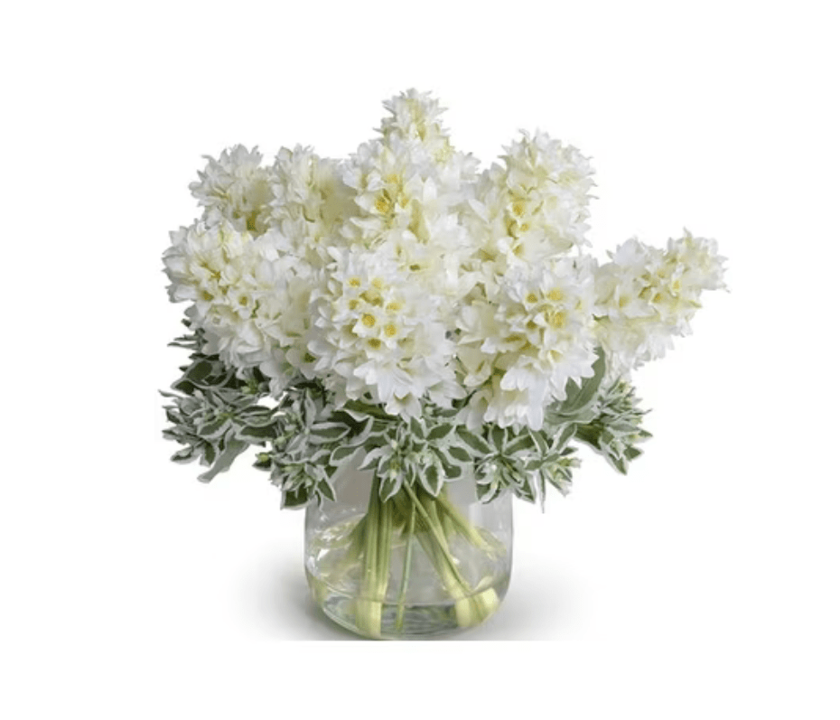 White Hyacinth & Pittosporum Bouquet in Vase - Fresh Bouquet Co.