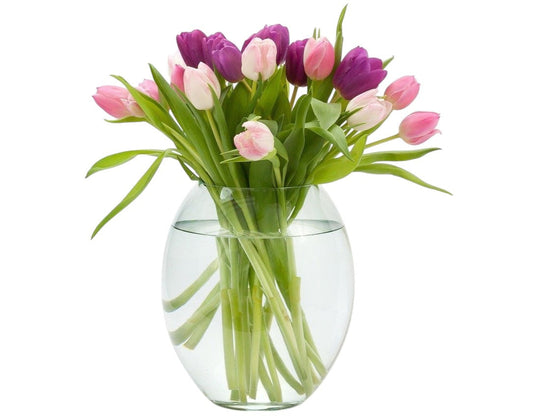 Purple & Pink Tulips Bouquet in Vase