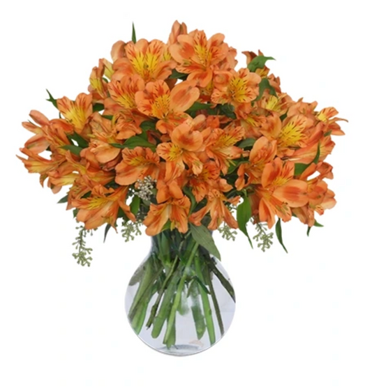 Orange Alstroemeria & Populus Berry Bouquet in Vase