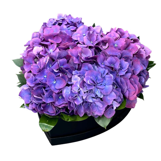 Classic Hydrangea with Ruscus Box