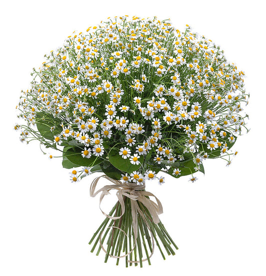 Daisy Camille Flowers Bouquet
