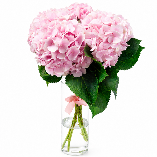 Light Pink Hydrangea Bouquet in Vase