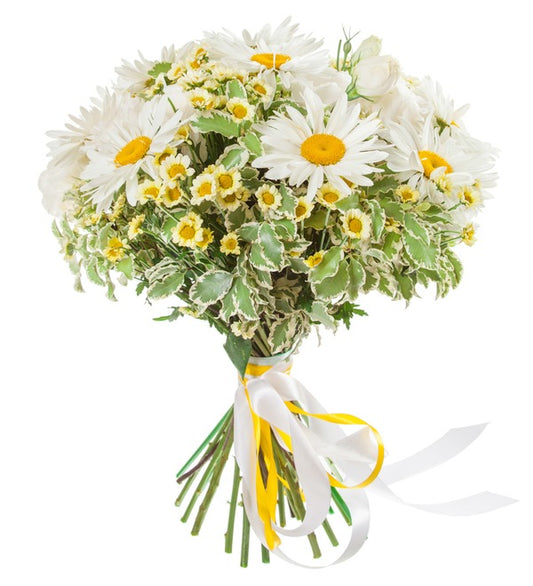 Daisy & Chrysanthemum Santini With Pittosporum Bouquet