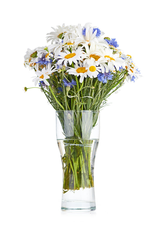Daisy & Cornflowers Bouquet in Vase