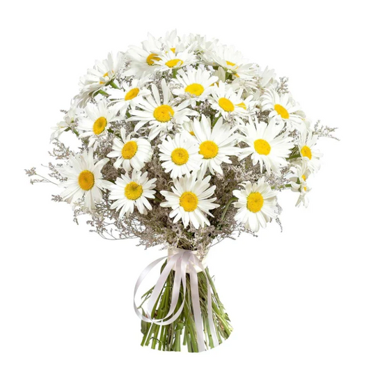 Daisy & Limonium Bouquet