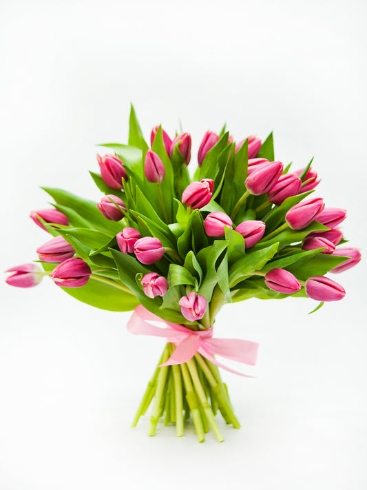 Dark Pink Tulips Bouquet