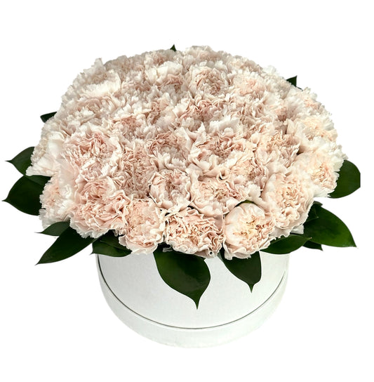 Classic Carnation with Greenery in Box