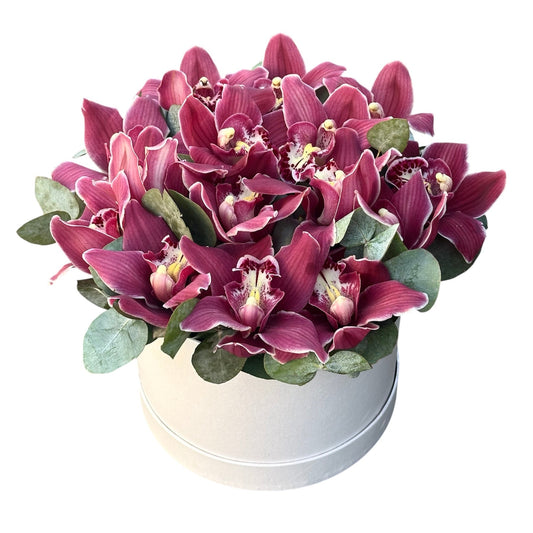 Cymbidium Orchids with Eucalyptus Flower Box