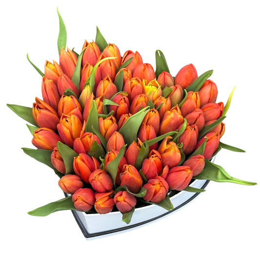 Classic Tulips in Heart Box