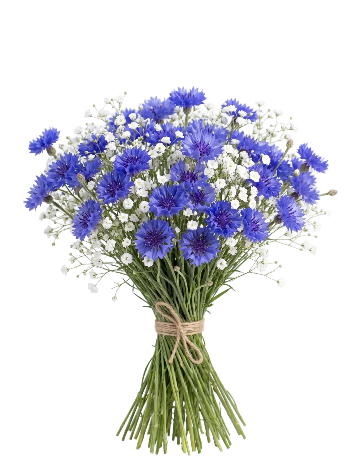 Cornflowers &amp; Baby’s Breath Bouquet