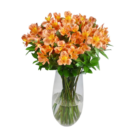 Orange Alstroemeria & Ruscus Bouquet in Vase