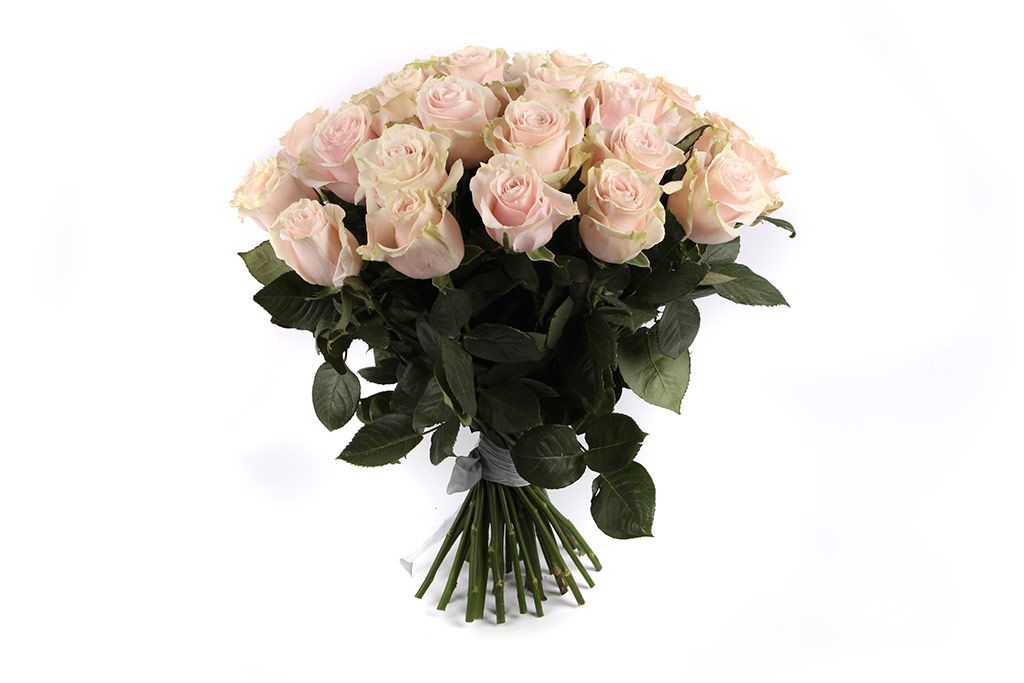 Pink Mundial Roses Bouquet