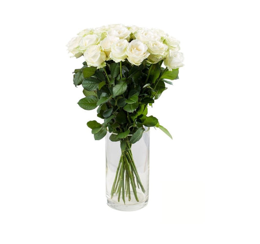 White Mundial Roses Bouquet in Vase